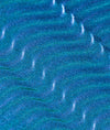 Skinny Dip - Stay the Night Shimmer Topper